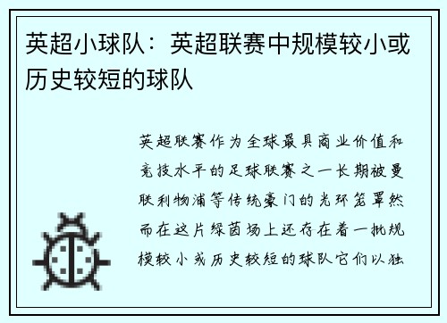 英超小球队：英超联赛中规模较小或历史较短的球队