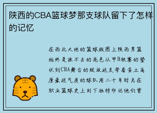 陕西的CBA篮球梦那支球队留下了怎样的记忆